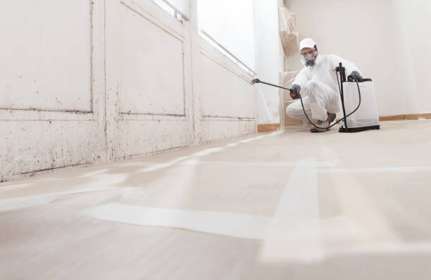 24/7 Emergency Basement Mold Remediation experts in Westwood, MA